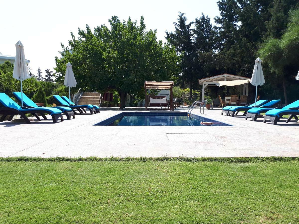 Villa Dora Faliraki Ngoại thất bức ảnh