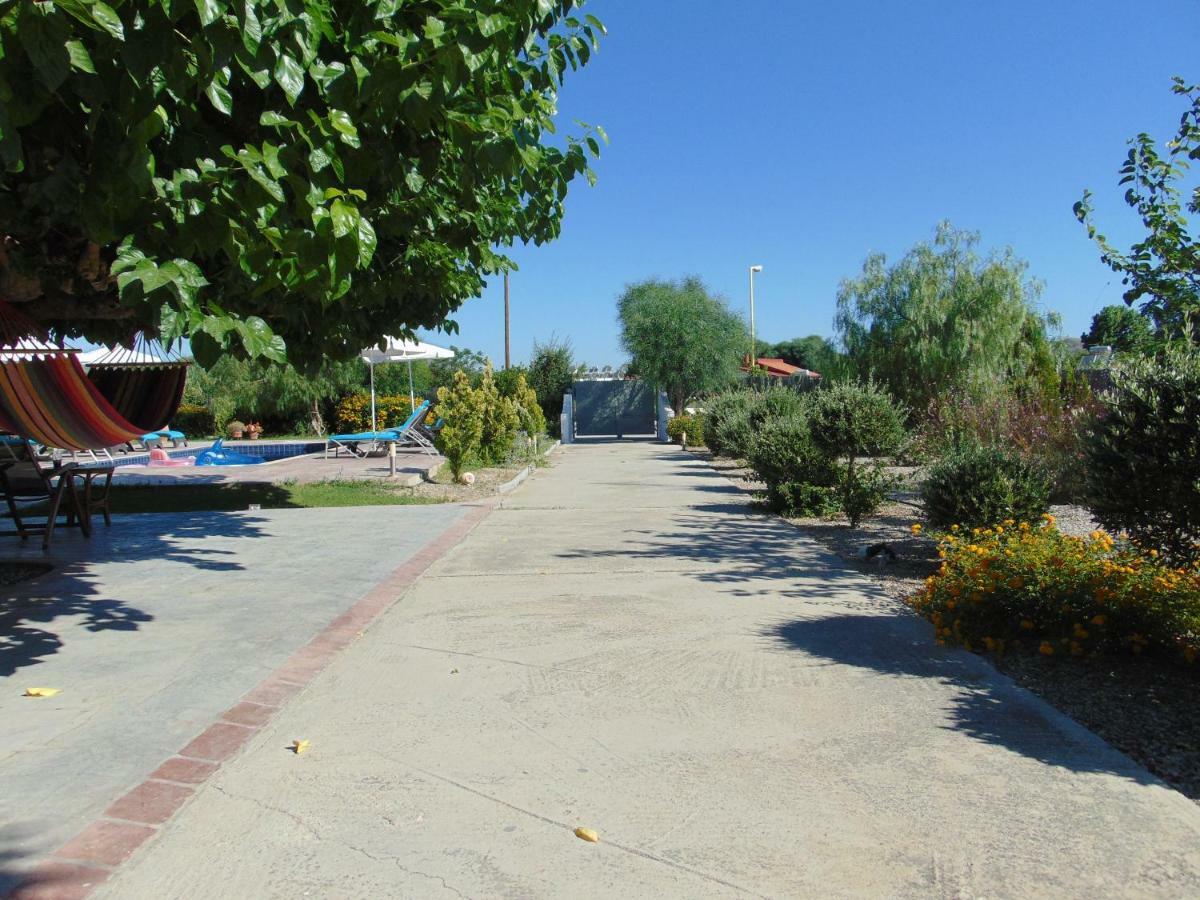 Villa Dora Faliraki Ngoại thất bức ảnh