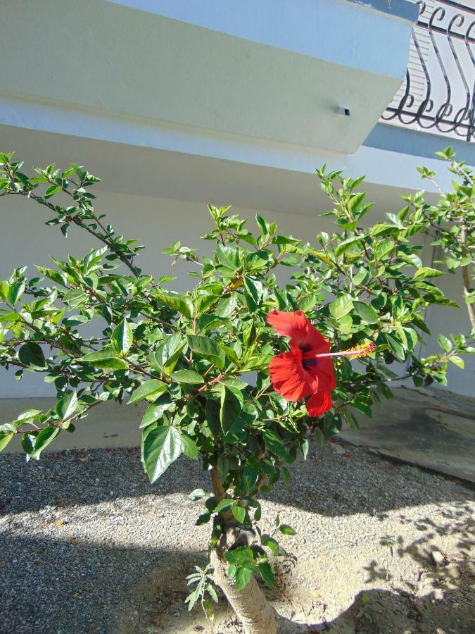 Villa Dora Faliraki Ngoại thất bức ảnh